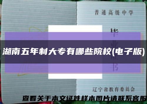 湖南五年制大专有哪些院校(电子版)缩略图