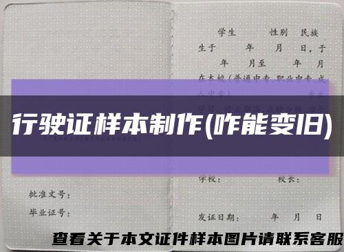 行驶证样本制作(咋能变旧)缩略图