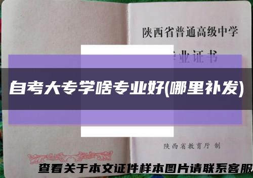 自考大专学啥专业好(哪里补发)缩略图