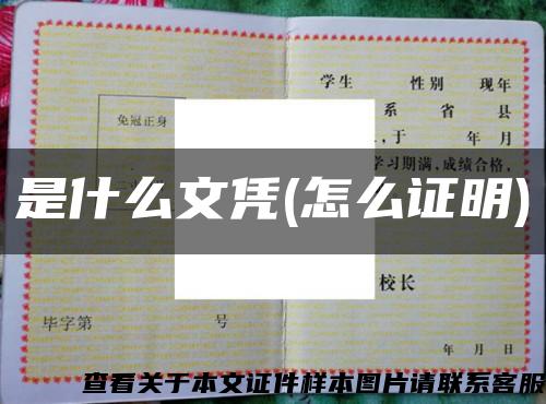 是什么文凭(怎么证明)缩略图
