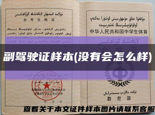 副驾驶证样本(没有会怎么样)缩略图