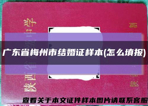 广东省梅州市结婚证样本(怎么填报)缩略图