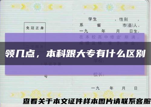 领几点，本科跟大专有什么区别缩略图