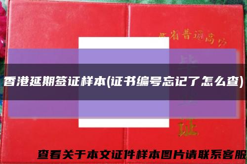 香港延期签证样本(证书编号忘记了怎么查)缩略图