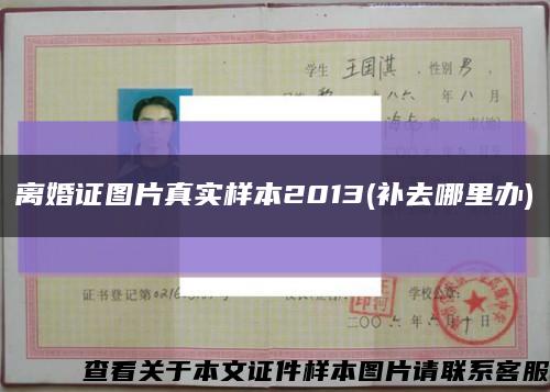 离婚证图片真实样本2013(补去哪里办)缩略图