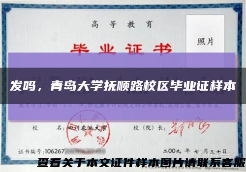 发吗，青岛大学抚顺路校区毕业证样本缩略图