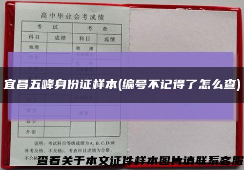 宜昌五峰身份证样本(编号不记得了怎么查)缩略图