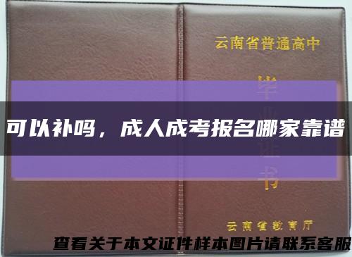 可以补吗，成人成考报名哪家靠谱缩略图