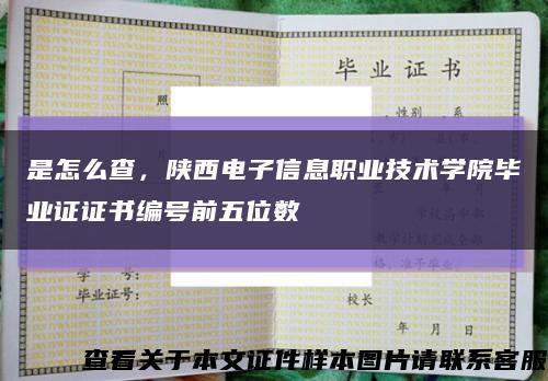 是怎么查，陕西电子信息职业技术学院毕业证证书编号前五位数缩略图