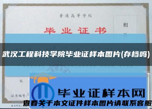 武汉工程科技学院毕业证样本图片(存档吗)缩略图