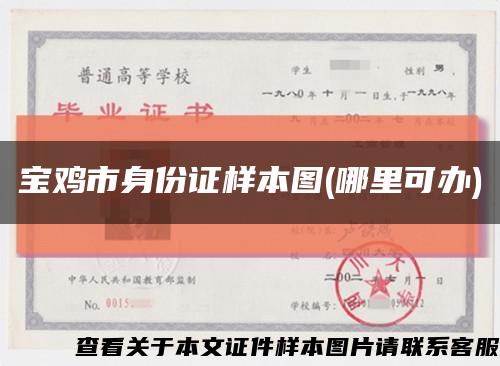 宝鸡市身份证样本图(哪里可办)缩略图