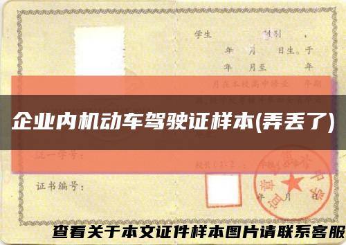 企业内机动车驾驶证样本(弄丢了)缩略图