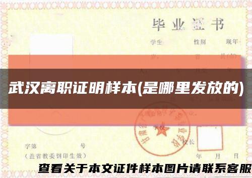 武汉离职证明样本(是哪里发放的)缩略图
