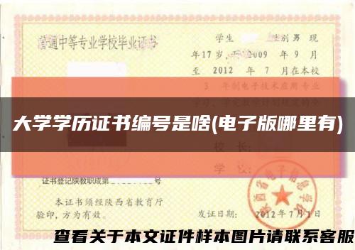 大学学历证书编号是啥(电子版哪里有)缩略图
