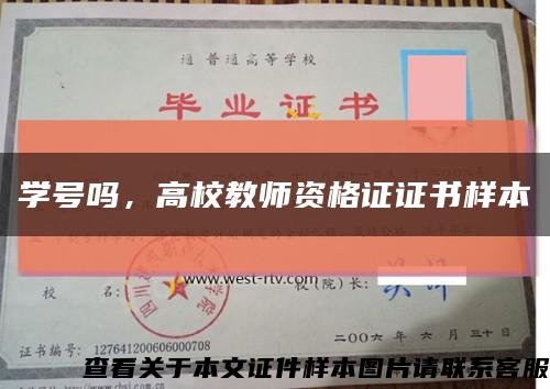 学号吗，高校教师资格证证书样本缩略图