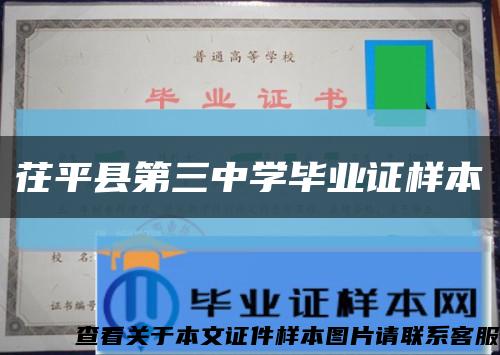 茌平县第三中学毕业证样本缩略图
