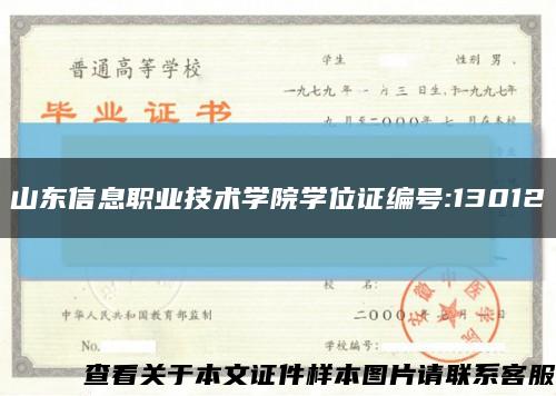 山东信息职业技术学院学位证编号:13012缩略图