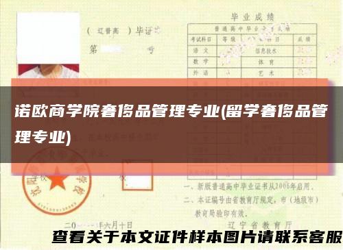 诺欧商学院奢侈品管理专业(留学奢侈品管理专业)缩略图