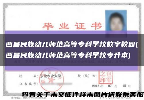 西昌民族幼儿师范高等专科学校数字校园(西昌民族幼儿师范高等专科学校专升本)缩略图