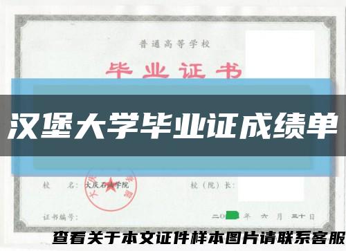 汉堡大学毕业证成绩单缩略图