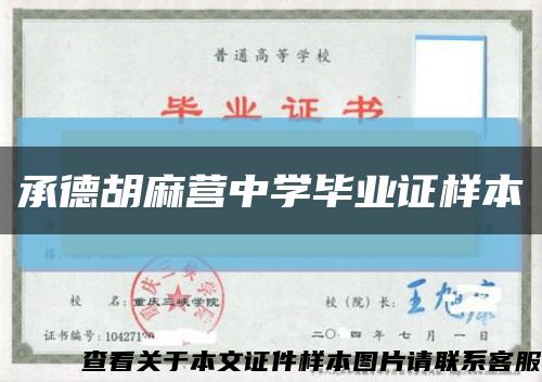 承德胡麻营中学毕业证样本缩略图