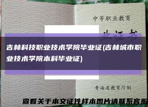 吉林科技职业技术学院毕业证(吉林城市职业技术学院本科毕业证)缩略图