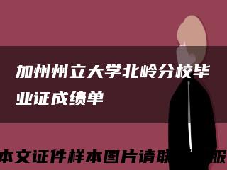 加州州立大学北岭分校毕业证成绩单缩略图