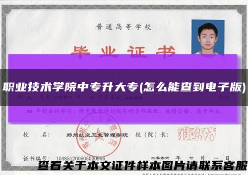 职业技术学院中专升大专(怎么能查到电子版)缩略图