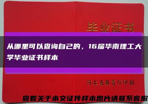 从哪里可以查询自己的，16届华南理工大学毕业证书样本缩略图