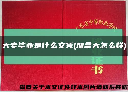 大专毕业是什么文凭(加拿大怎么样)缩略图
