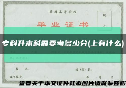专科升本科需要考多少分(上有什么)缩略图