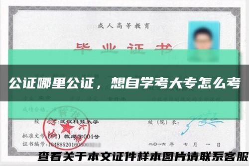 公证哪里公证，想自学考大专怎么考缩略图
