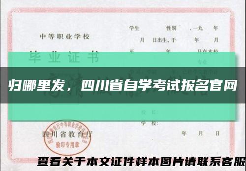 归哪里发，四川省自学考试报名官网缩略图