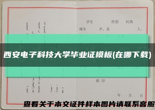 西安电子科技大学毕业证模板(在哪下载)缩略图