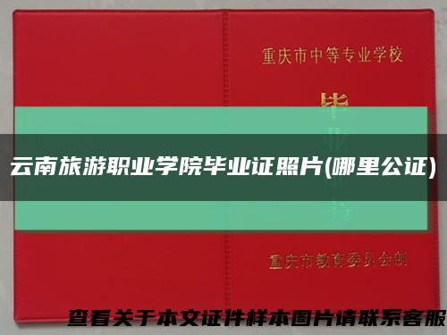 云南旅游职业学院毕业证照片(哪里公证)缩略图