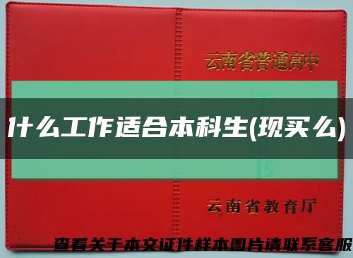 什么工作适合本科生(现买么)缩略图