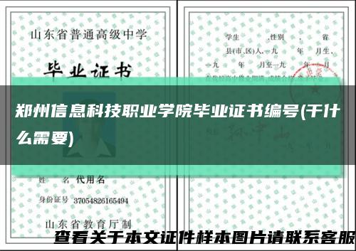 郑州信息科技职业学院毕业证书编号(干什么需要)缩略图