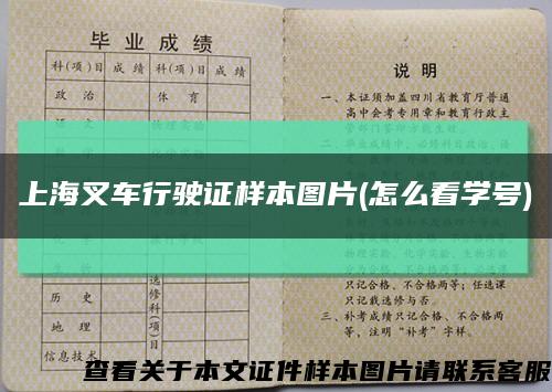 上海叉车行驶证样本图片(怎么看学号)缩略图