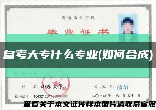 自考大专什么专业(如何合成)缩略图