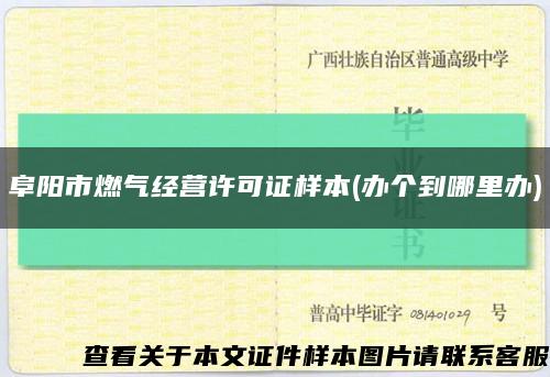 阜阳市燃气经营许可证样本(办个到哪里办)缩略图