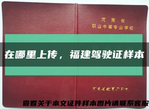 在哪里上传，福建驾驶证样本缩略图