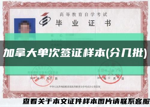 加拿大单次签证样本(分几批)缩略图