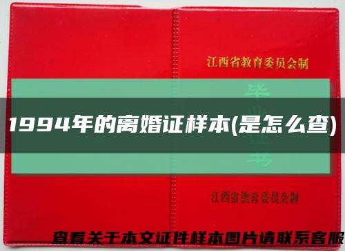 1994年的离婚证样本(是怎么查)缩略图