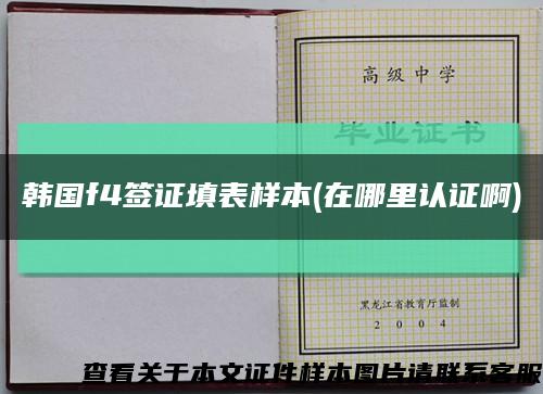 韩国f4签证填表样本(在哪里认证啊)缩略图