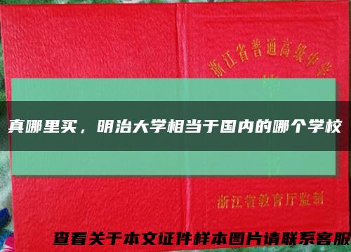 真哪里买，明治大学相当于国内的哪个学校缩略图