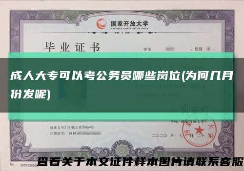 成人大专可以考公务员哪些岗位(为何几月份发呢)缩略图