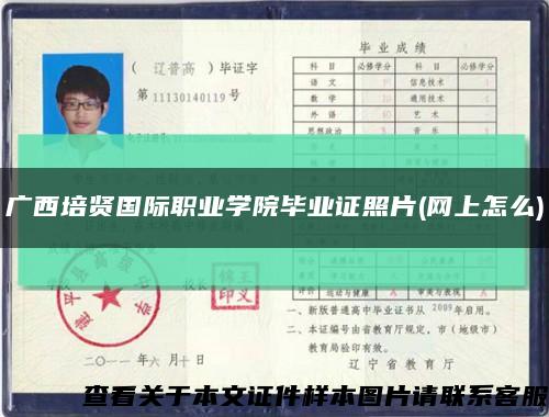 广西培贤国际职业学院毕业证照片(网上怎么)缩略图