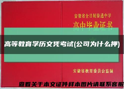 高等教育学历文凭考试(公司为什么押)缩略图