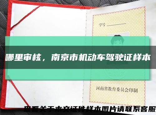 哪里审核，南京市机动车驾驶证样本缩略图