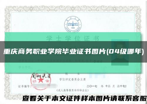 重庆商务职业学院毕业证书图片(04级哪年)缩略图
